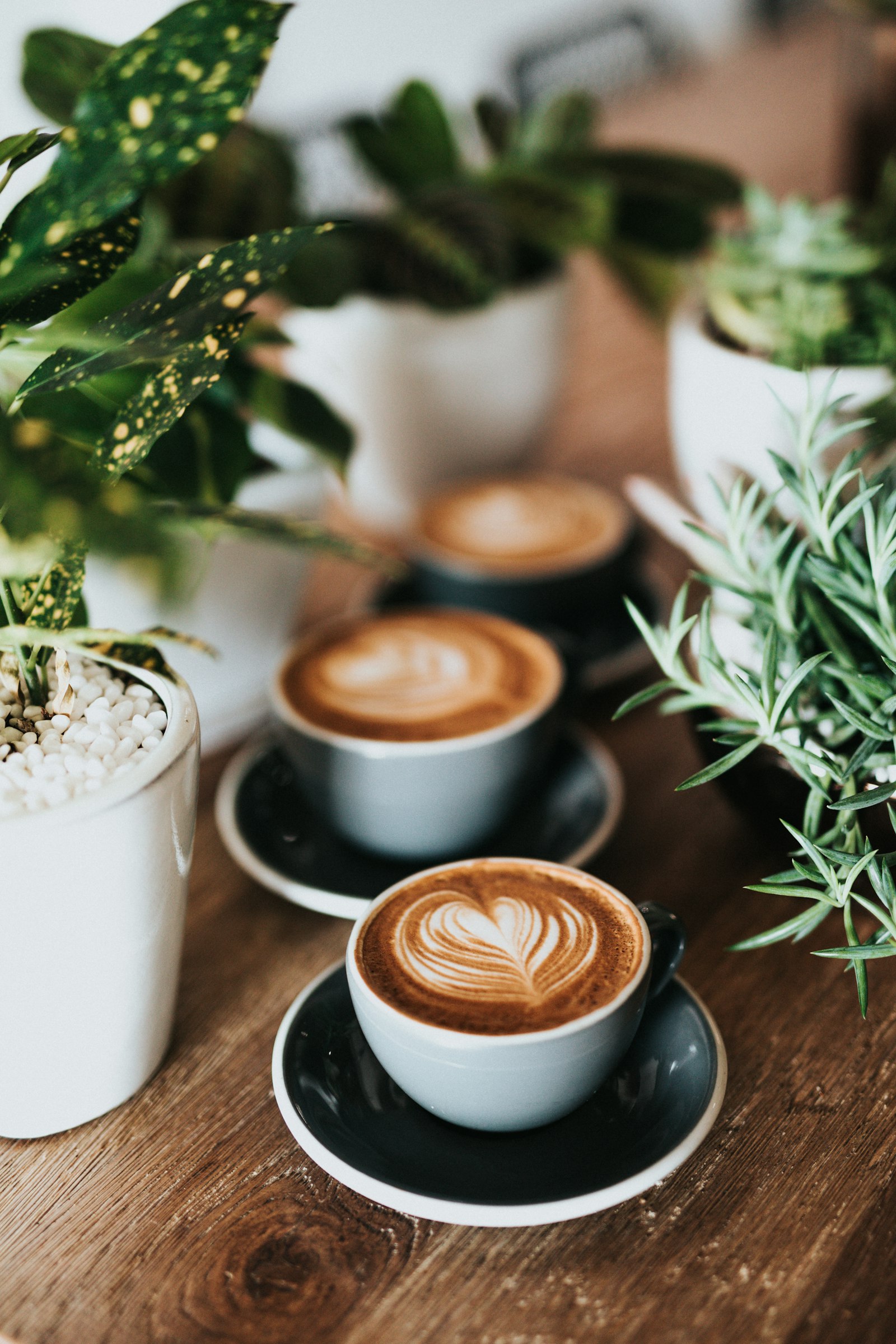 Fresh coffee served at AMA Cafe